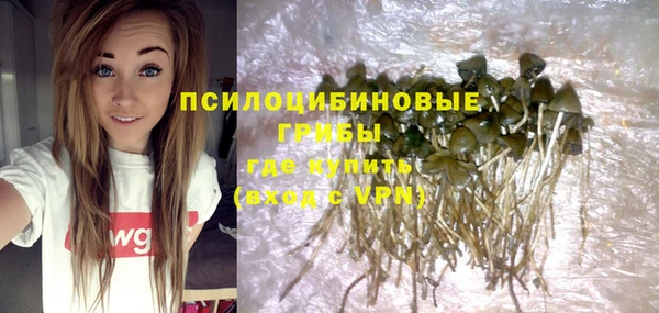 прущая мука Карпинск