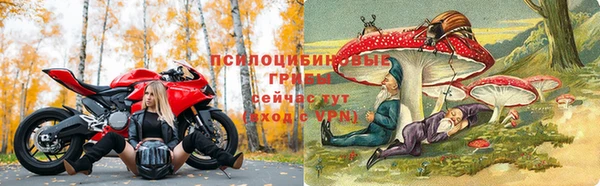 каннабис Каменка