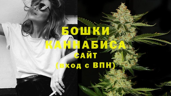 амф Касимов