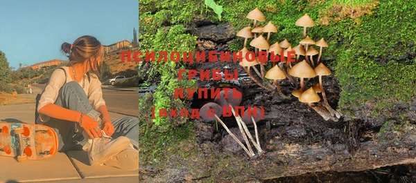 меф Каменногорск