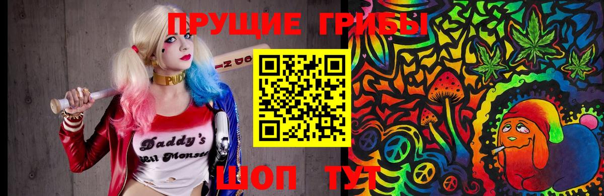 Коркино  Галлюциногенные грибы Psilocybine cubensis  Галлюциногенные грибы Psilocybe  Вход с VPN 