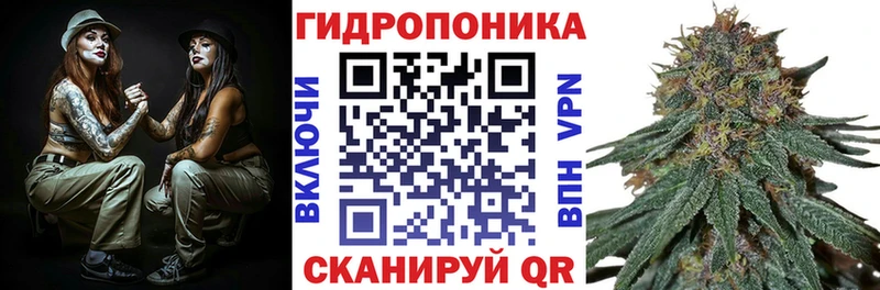 где купить наркоту  Коркино  Конопля SATIVA & INDICA 